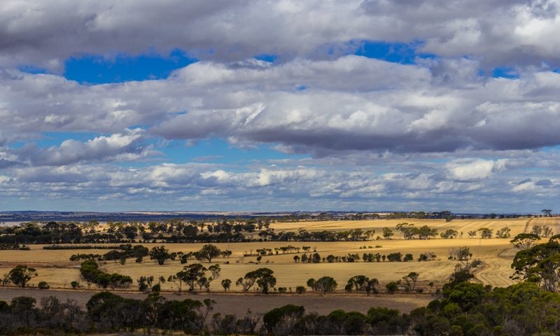 cropped-8-2-je-50x200cm-1.jpg